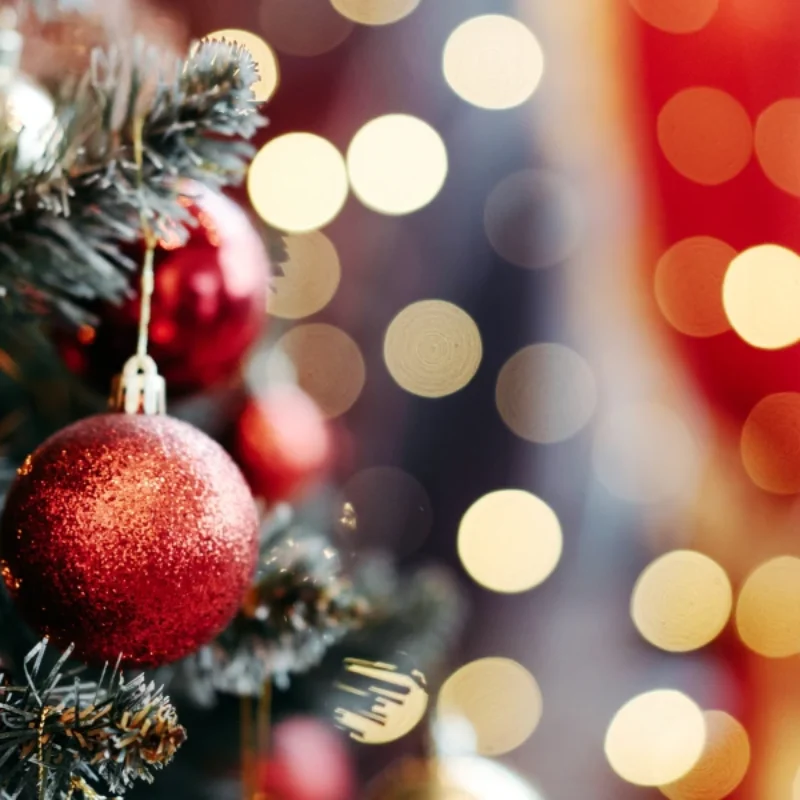 Tilden Hotel’s Guide to a Sparkling Christmas in San Francisco