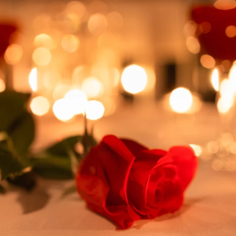 Celebrate Valentine’s Day in San Francisco: Tilden Hotel