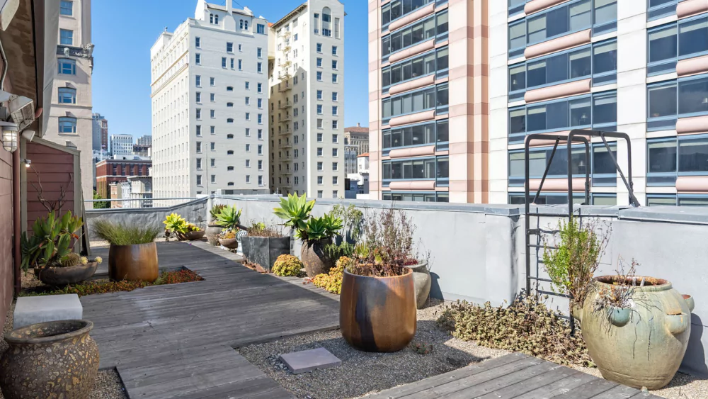 Rooftop Penthouse
