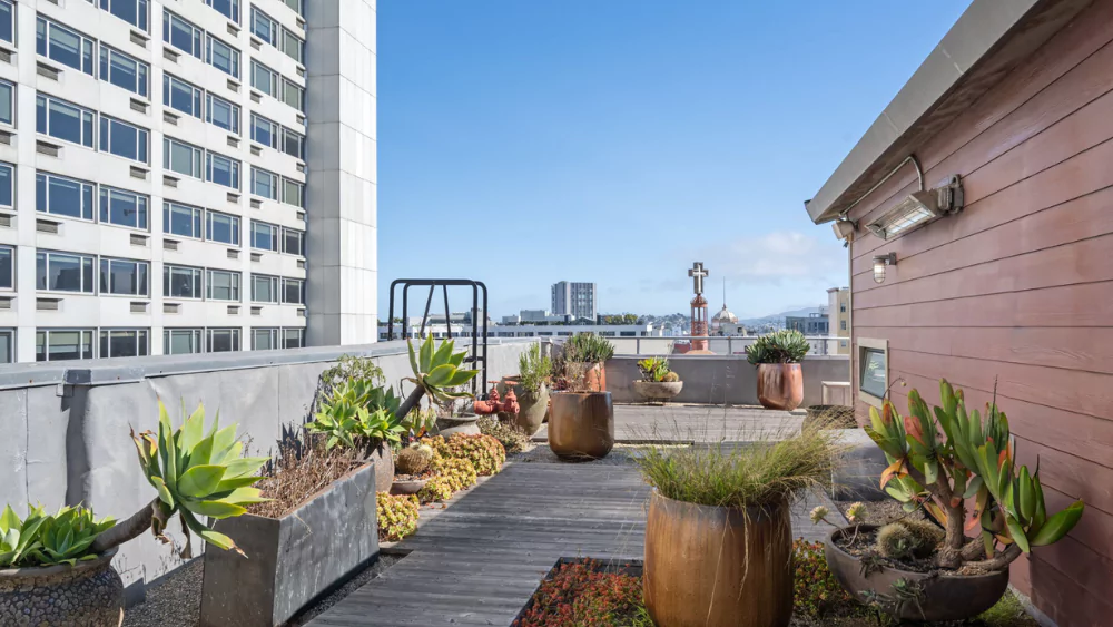 Rooftop Penthouse