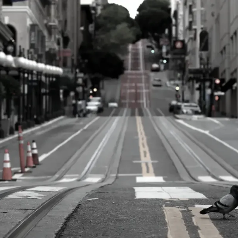 Your Complete Guide to SF Sketchfest 2026 in San Francisco