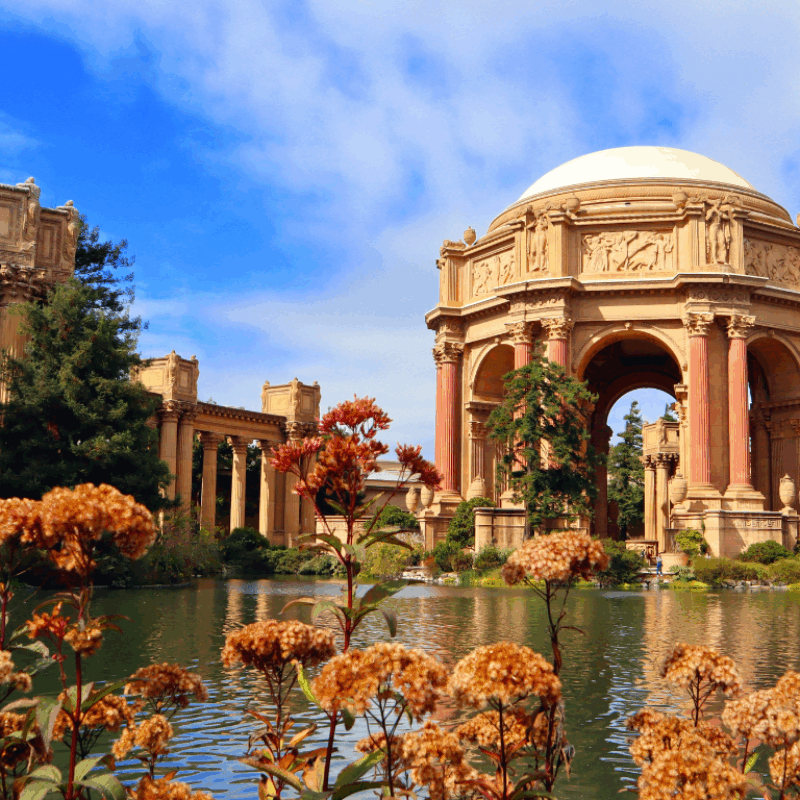 Linger Longer Special