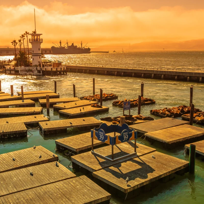 What To Do in SF for Memorial Day Weekend